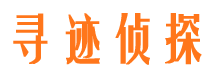 振安市侦探调查公司